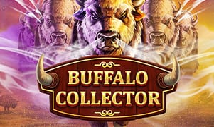 hello88 Buffalo Collector